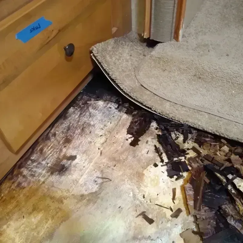 Wood Floor Water Damage in Pennington County, SD